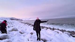 The artic ocean