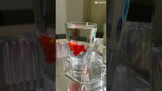 Science experiment #funwithscience,   https://youtube.com/shorts/1uhdnr1FGDQ