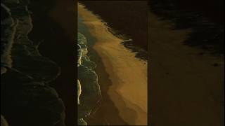The Eagle’s Vision (Aerial Predator Perspective)