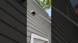 Customer suspected clogged dryer vent. #airventscleaning #hvaccleaning #ptaccleaning