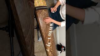 【箏】アニマル／DECO*27　弾いてみた #shorts【Manon】