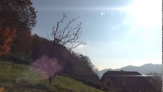 Forest Outskirts Timelapse [1080p]