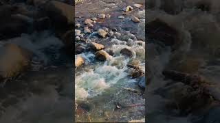 Short Relaxing Rain Sounds for Sleep, Study & Relaxation 🌧️