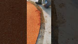 The worker is creating a floor using small stones and sand for a strong, durable surface #viral