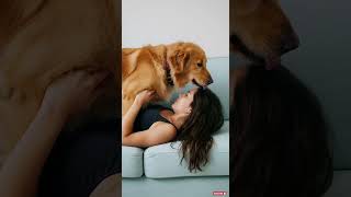 How I Know I’m Loved 🐶 #doglife #doglove #puppy #goldenretreiver #retreiver #dogowners #dogstagram