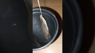 Bombay chai onboard. ..tea time#shortvideos #hotbrew #chai #foryourpage #fypシ゚