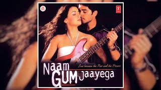 Naam Gum Jaayega 2005 Hindi Full Movie (नाम गुम जाएगा) Raqesh Vashisth, Dia Mirza, Divya Dutta