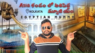 Indian Museum Kolkata | Egypt Mummy | Venkys Dairy | Asian Biggest Museum