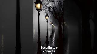 pov está lloviendo que habitación prefieres  #ruidoblancolluvia #relax #climate #lluvia