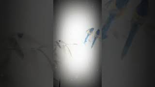 yea wadah Raha... Kishore Kumar #suscribe #share #trending #kishorekumarsongs #anime