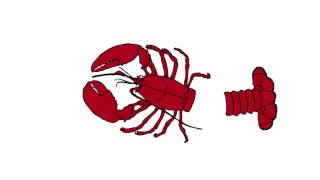 Long Tail Analysis in CMS Data Analysis Workloads