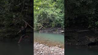 Super big snake in the rever