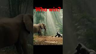 Gorilla vs Elephant – Power Meets the Giant! 🦍💥🐘