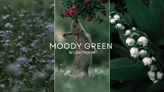 Moody Green editing Tutorial in Lightroom in one min | Mobile editing Tutorial #youtube