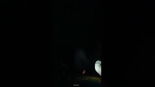 Amar Dehokhan| আমার দেহখান | Odd Signature | #আড্ডা