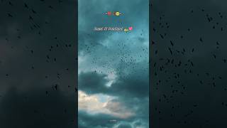 podhum thunbangal 💔🥀 | #ennaikollathey #tamilwhatsappstatus #tamillovestatus #tamilsong #tamilmusic