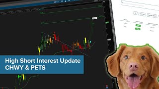 High Short Interest Update in CHWY and PETS