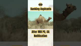 Banking Aspirants निकल पड़े हैं 🐪🐪 Rajasthan 😁😁 After RRB PO Notification, RRB CLERK 2025
