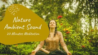 20 Minutes Meditation With Relaxing Rainfall Ambient Sounds | Fall Asleep Fast