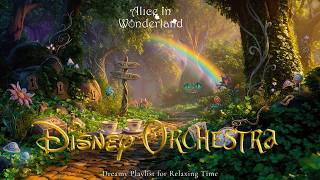 Dreaming Disney Symphony Collection in Wonderland 🌈Magical Melodies for Cozy Morning
