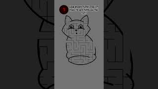 CAN YOU SOLVE THIS MAZE IN TIME? #maze #shorts #puzzles #youtubeshorts #cat