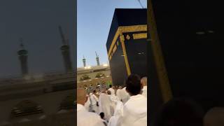 #Haram Sharif# Saudi Arabia #flowers #saudiarabia