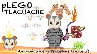 Proteínas en acción | Parte 1