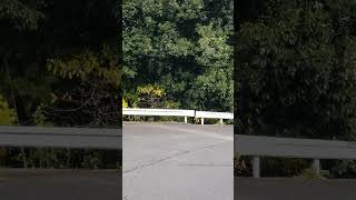 【散歩途中】猿の鳴き声録れました！／ひーくんののんびりチャンネル