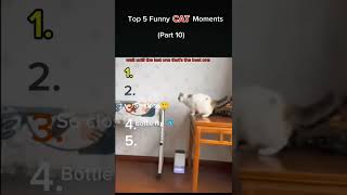 Top 5 Funny Cat Moments 😂 | Cats 2025 Part 10