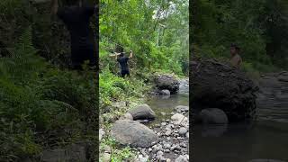 Omg big snake fearless