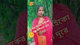 বুকের ভিতর থাইকো বন্ধু যাইওনা দূরে🔥#shorts #trending #shortvideo #love #banglasong #@champashort.1