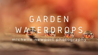 Garden Water Droplets | Flower Photography Edit | Waterdrop Edit | Photoshop Edit | Luminar Neo Edit
