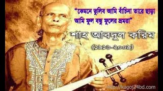ailana ailana re bondhu dilruba khan