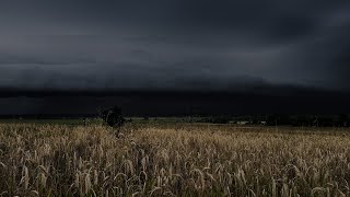 Shelf Cloud Thunderstorm Rolling In | Calm Before the Storm | 3 HOURS