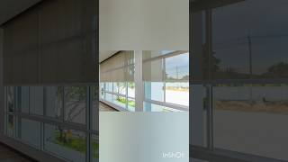 Sunlight Control with Roller Blinds #WindowBlinds #RollerBlinds #HomeDecor #WindowShades #Blinds