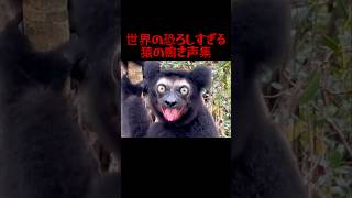 猿恐怖症続出⚠️
