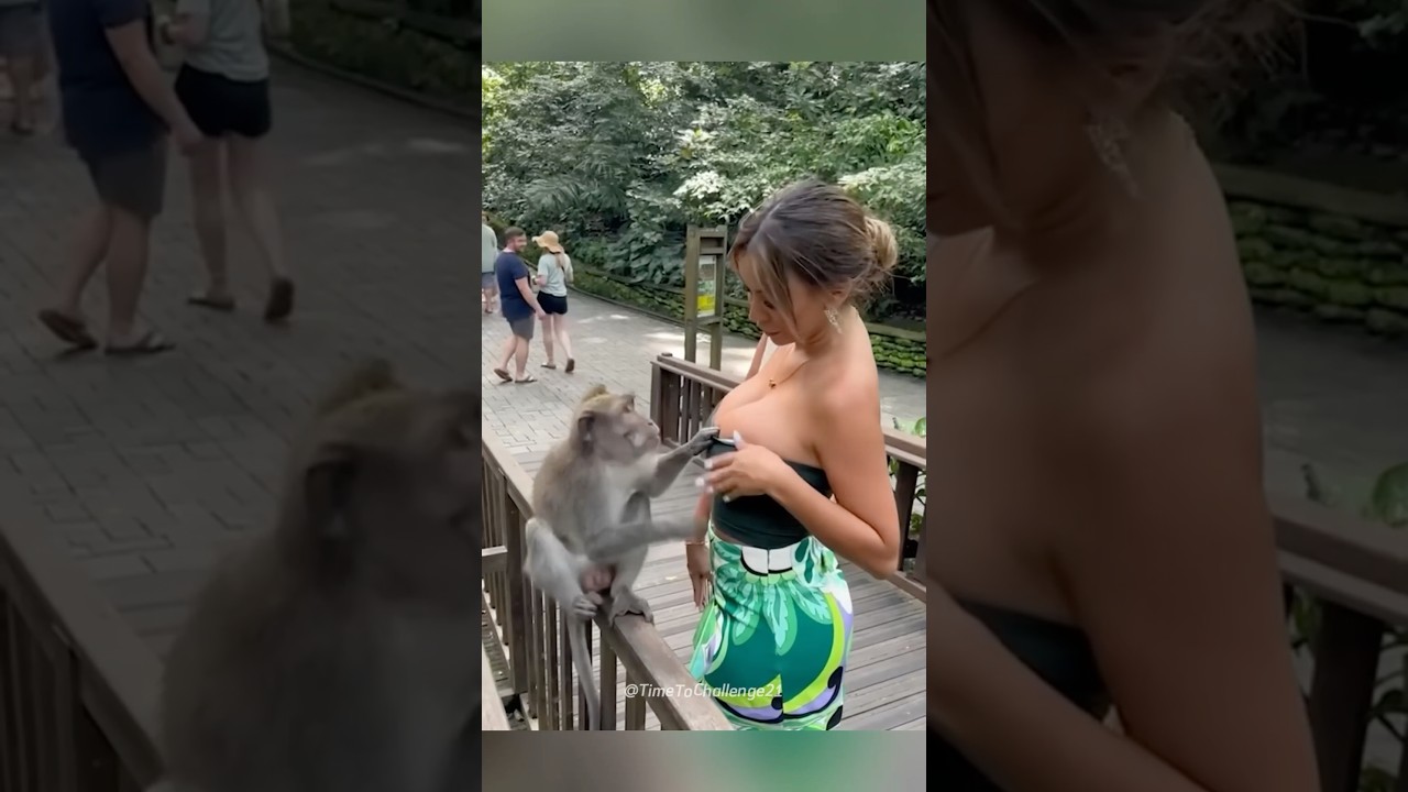 サムネ