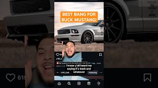 THE 3v Mustang is the best BANG FOR BUCK! #3vmustang #mustanggt #s197 #cartalk #bestcar