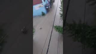 भारी- बारिश से कई राज्य और गांव में भर पानी !....#new #dailyvlog #news #song #rain
