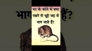 GK QUESTION GK ALL IN ONE GK GYAAN #gk #dailygk #gkfacts #gkquestion #staticgk