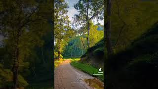 #unfrezzmyaccount #nature #lifeisbutadream #partymusic #love #lovesong #sad