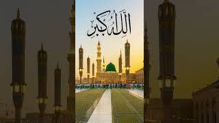 🥀🤲Jaa🌹HaZir🌹Hai🌷MuStaFa 💖Ky💝lye💖Hazrat🥀Muhammad🌷(s.a.w) #trending #islamicshorts #viral #islamicpost