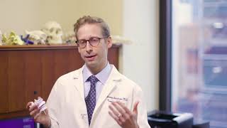 What is Spondylosis?