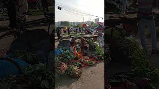 ঢাকার মধ্যে একটুকরো গ্রামের ছোঁয়া।  উত্তরা, ঢাকা।