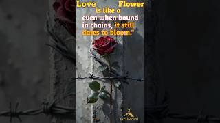 🌹 Bound Yet Blooming 🌹#inspirtional #shorts​ #youtubeshorts​ #trending​ #viralvideo​ #viral​ #love