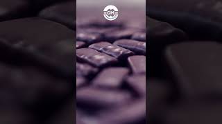 Crafting Chocolate From Home Kitchens to Global Factories #chocolate #chocolatebar #makingchocolate