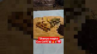 haz este champú y vera cambios en 7 días ☕️🔥💇‍♀️🩷 #champucasero #cabellosaludable #pelo #tips #hair
