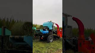 चारा काटने की अनोखी मशीन देखिए। #shortvideos #shorts #agriculture