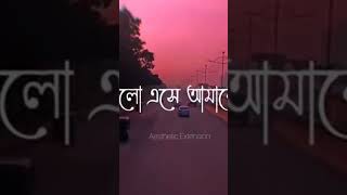 Tomar chaiya