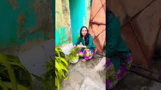 #song #bollywood #hindisong #janemerijanemanbachpankapyarmerabhulnahijanare # #music #comdeyclub